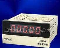 上海卓一正品 累时器/计时器 ZYL06(DHC6J-L)_仪器仪表_世界工厂网中国产品信息库